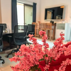Urban Panda Sadaf Jbr Hostel